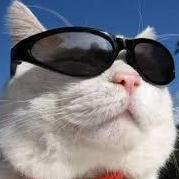 botiantools botiantools