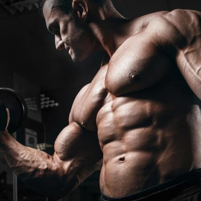 Pharmaqolabus Pharmaqolabus