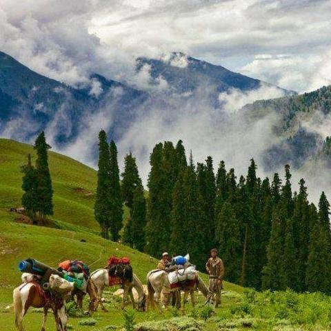 Pakistan Tour