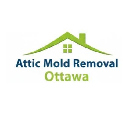 Attic Mold Removal Ottawa